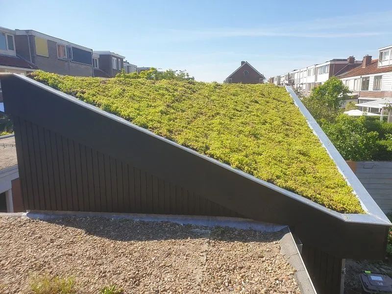Groendak subsidie Eindhoven