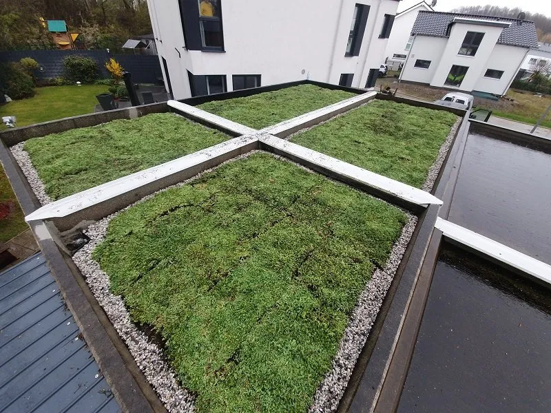 Leiden groendak subsidie