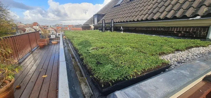 Groendak Groendaktotaal